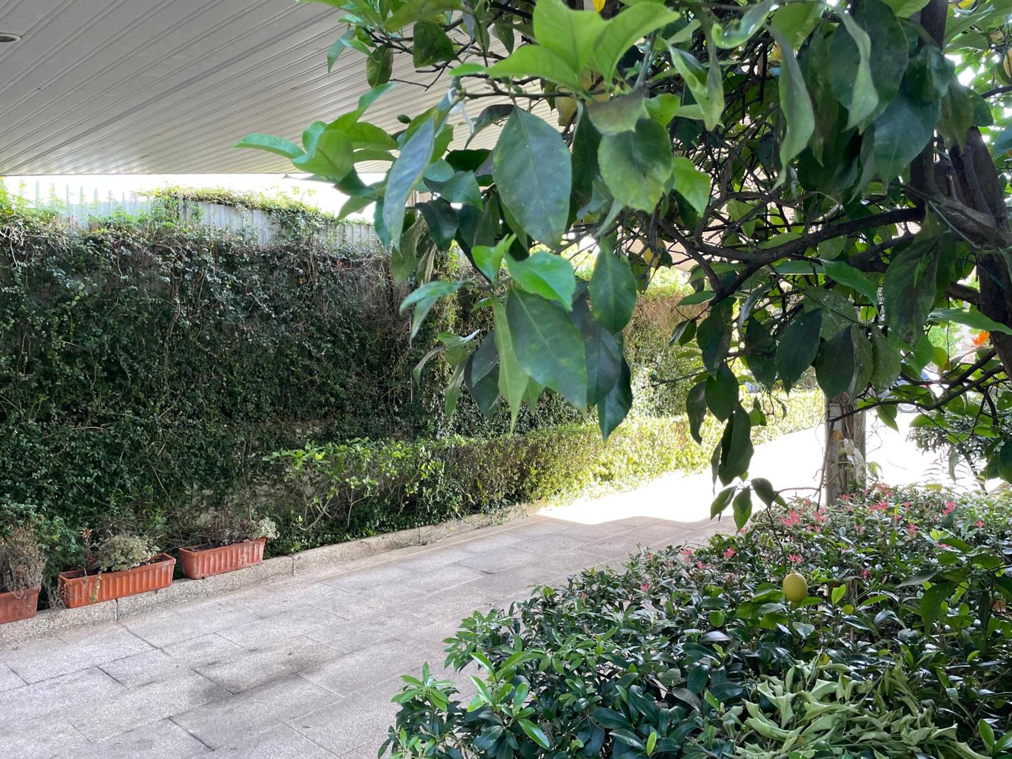 Villa Casa Do Paco Guimarães Esterno foto